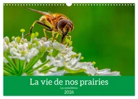 La vie de nos prairie, les ombellifères (Calendrier mural 2026 DIN A3 vertical), CALVENDO calendrier mensuel