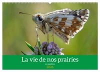 La vie de nos prairie, les papillons (Calendrier mural 2026 DIN A2 vertical), CALVENDO calendrier mensuel