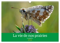 La vie de nos prairie, les papillons (Calendrier mural 2026 DIN A3 vertical), CALVENDO calendrier mensuel