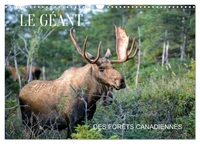 LE GÉANT DES FORÊTS CANADIENNES (Calendrier mural 2026 DIN A3 vertical), CALVENDO calendrier mensuel