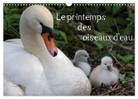 Le printemps des oiseaux d'eau (Calendrier mural 2027 DIN A3 vertical), CALVENDO calendrier mensuel