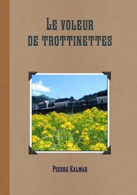 Le voleur de trottinettes