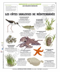  Deyrolle pour l'avenir - Les côtes sableuses de Méditerranée - Poster 50x60.