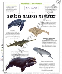  Deyrolle pour l'avenir - Les espèces marines menacées - Poster 50x60.
