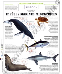  Deyrolle pour l'avenir - Les espèces marines migratrices - Poster 50x60.