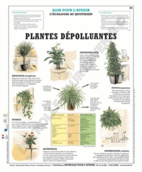  Deyrolle pour l'avenir - Les plantes dépolluantes - Poster 50x60.