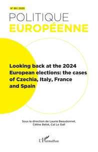 Looking back at the 2024 European elections: the cases of Czechia, Italy, France and Spain