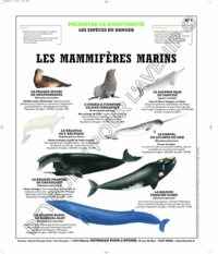  Deyrolle pour l'avenir - Mammifères marins - Poster 50x60.