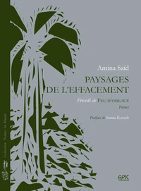 Paysages de l’effacement Précédé de FEU D’OISEAUX