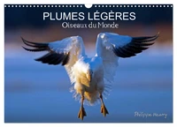 PLUMES LÉGÈRES. Oiseaux du Monde (Calendrier mural 2027 DIN A3 vertical), CALVENDO calendrier mensuel