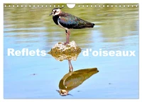 Reflets d'oiseaux (Calendrier mural 2027 DIN A4 vertical), CALVENDO calendrier mensuel