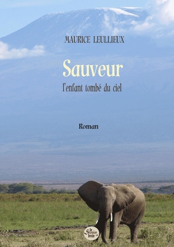 Maurice Leullieux - Sauveur, l'enfant tombé du ciel.