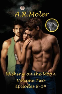 Wishing on the Moon Volume 2