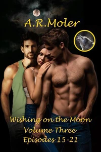 Wishing on the Moon Volume 3