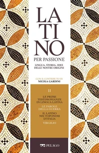 Le prime testimonianze in lingua latina. Le parole della guerra. Il latino nei toponimi d'Italia. Virgilio