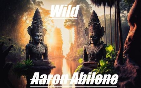  Aaron Abilene - Wild.