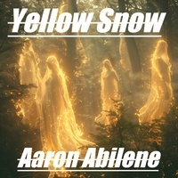  Aaron Abilene - Yellow Snow - The Author, #2.