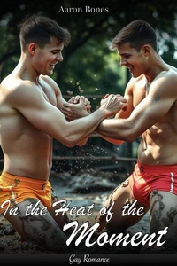 In the Heat of the Moment: Gay Romance