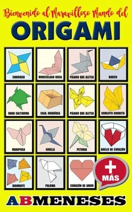 Bienvenido al Maravilloso Mundo del Origami