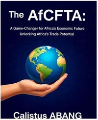 The AFCFTA: A Game-Changer for Africa's Economic Future.   Unlocking Africa's Trade Potential