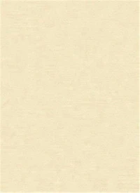 Isabelle Giovacchini