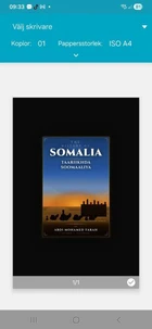 The history of somalia