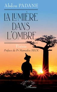 La lumière dans l’ombre