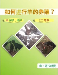 如何进行羊的养殖？