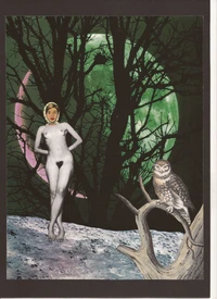 Celles qui viennent avec la nuit