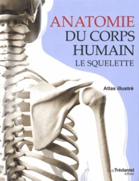 Anatomie du corps humain Le squelette