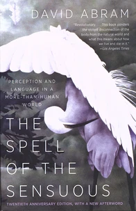 The Spell of the Sensuous