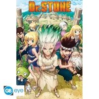 Dr stone - poster maxi (91,5x61 cm) - groupe