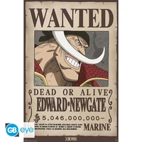 One piece - poster maxi (91,5x61 cm) - wanted whitebeard