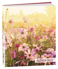 Agenda Prier