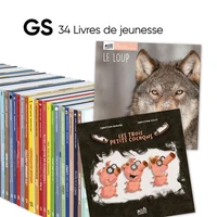 GS