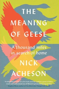 The Meaning of Geese
