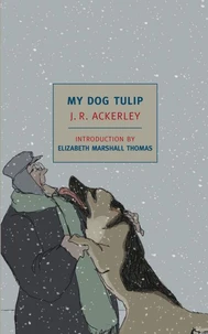 My Dog Tulip