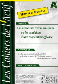Jean-Michel Plane - Les Cahiers de l'Actif N° 382-383 / 384-385 : Les aspects du travail en équipe... ou les conditions d'une coopération efficace.
