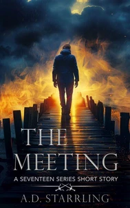The Meeting (A Seventeen Series Short Story #3)