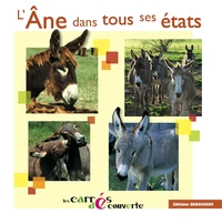 L'âne dans tous ses états