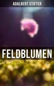 Feldblumen