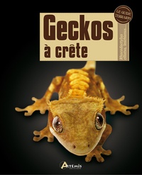 Adam Black - Geckos à crête - Rhacodactylus ciliatus, leachianus....