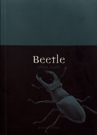 Adam Dodd - Beetle.