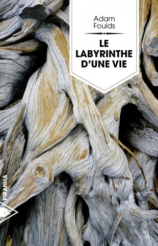 Le labyrinthe d'une vie