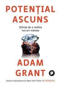 Potențial ascuns