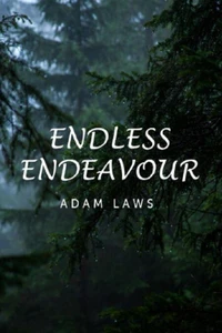 Endless Endeavour