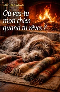 Où vas-tu mon chien quand tu rêves ?