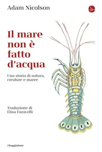 Il mare non è fatto di acqua