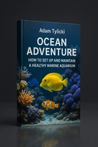 Ocean Adventure, How to Set Up and Maintain a Healthy Marine Aquarium