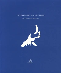 Vertiges de la lenteur